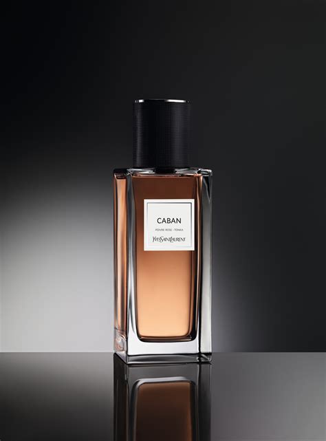 caban perfume ysl|caban cologne for men.